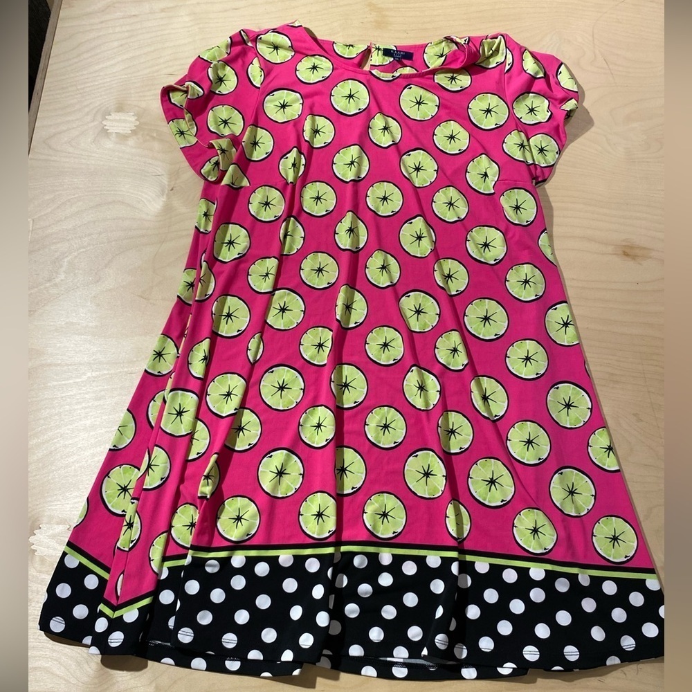 KAARI Blue Pink and Green Polka Dot and Limes Pattern Dress 1X (FV)